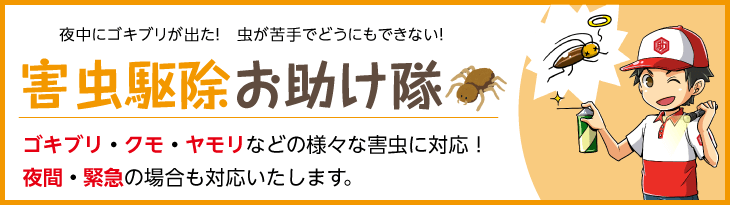 夜中にゴキブリが出た！虫が苦手でどうにもできない！害虫駆除お助け隊 ゴキブリ・クモ・ヤモリなどの様々な害虫に対応！夜間・緊急の場合も対応いたします。