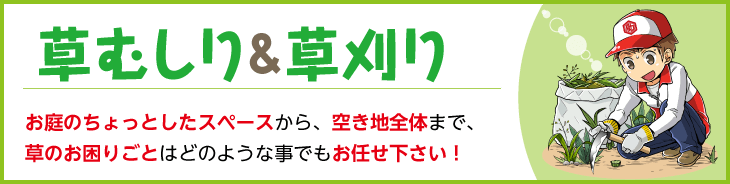 草むしり＆草刈り