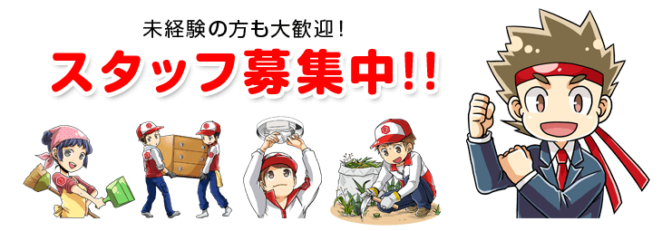 スタッフ募集中！