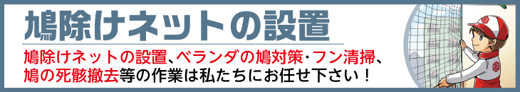 鳩除けネットの設置